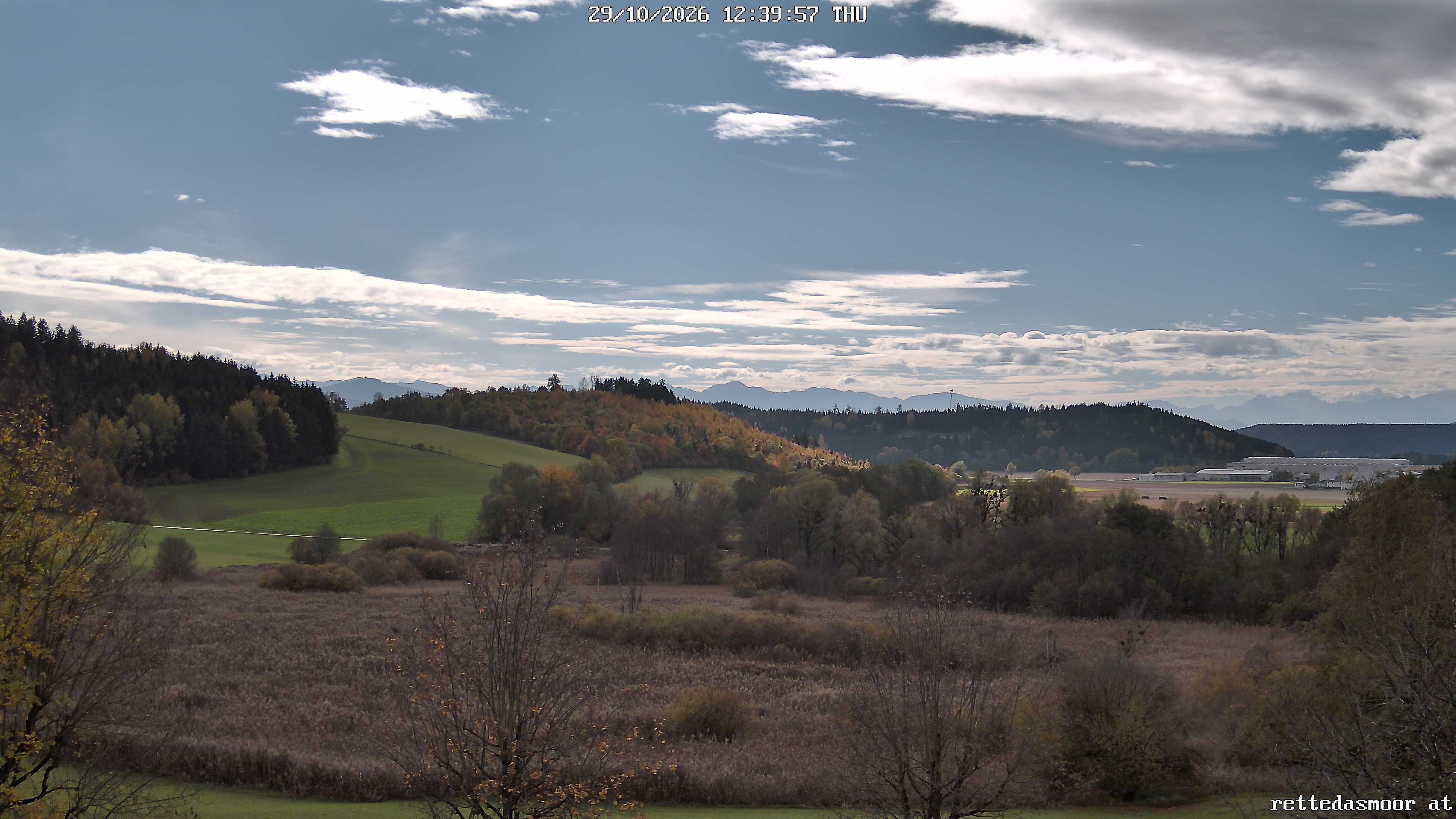 Livebild aus dem Althofener Moor